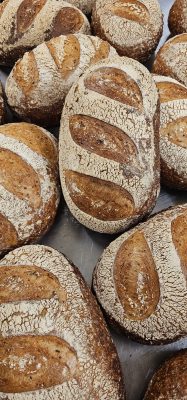 BigWigs Granary Sourdough