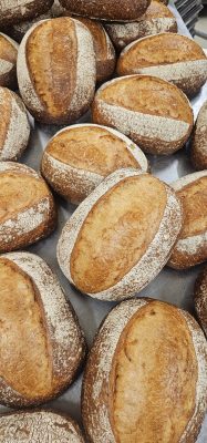 BigWigs White Sourdough