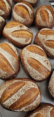 BigWigs Cheddar and Marmite Sourdough