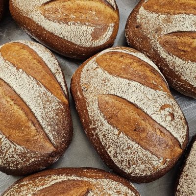 BigWigs Cheddar and Marmite Sourdough