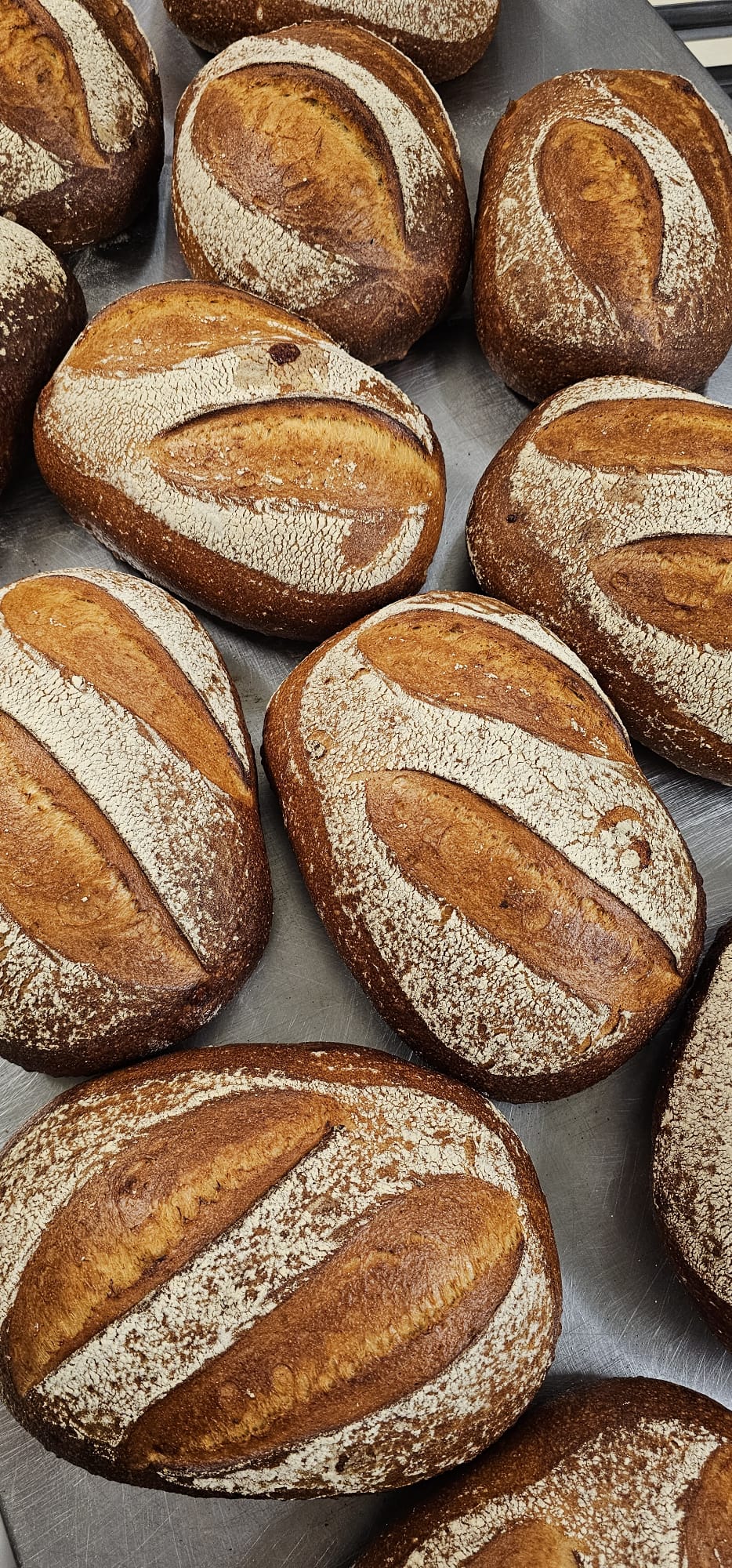 BigWigs Cheddar and Marmite Sourdough