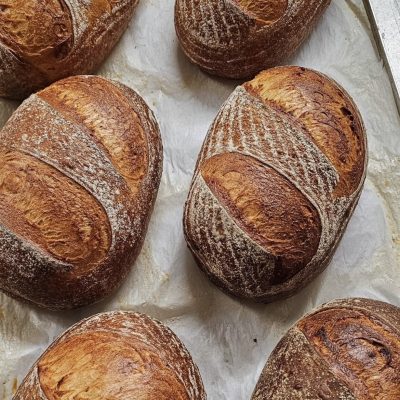 Cheddar and Marmite Sourdough