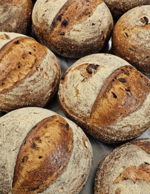 Garlic and Herb Sourdough